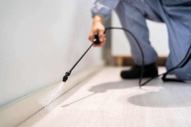 Licensed Pest Control service in Mercer, PA - Show Me Pest Control