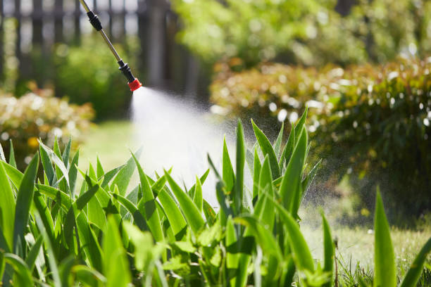 24/7 Emergency Wasp Removal experts in Mercer, PA