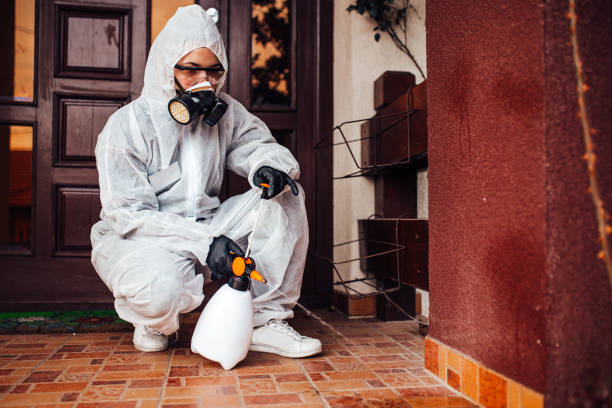 Reliable Wasp Removal contractor in Mercer, PA by Show Me Pest Control