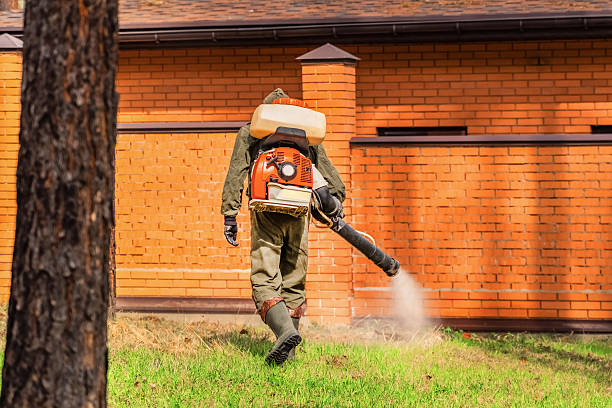 Top rated local Wasp Removal specialists in Mercer, PA